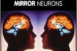 mirrorneuron
