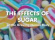 effects of sugar