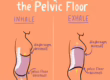 diaphragmatic breathing