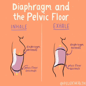 diaphragmatic breathing